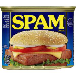 spam_canned_ham-8133532
